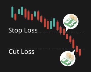 Trailing Stop Loss in Forex